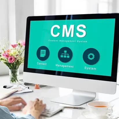 Custom WordPress Sites
